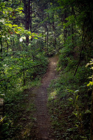 Addictive Trail