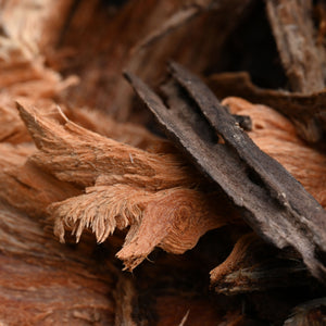 Laotian Oud