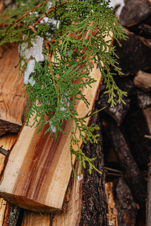 Dry Cedarwood